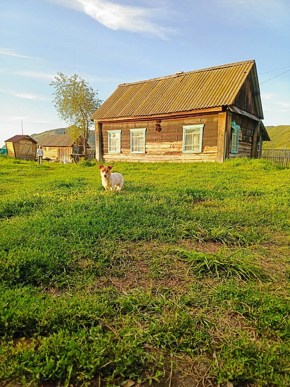 Фото из отзыва от 25.07.2025