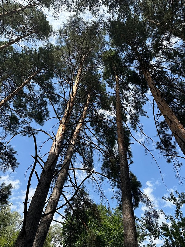 Фото 2 из отзыва о базе отдыха Хопёр