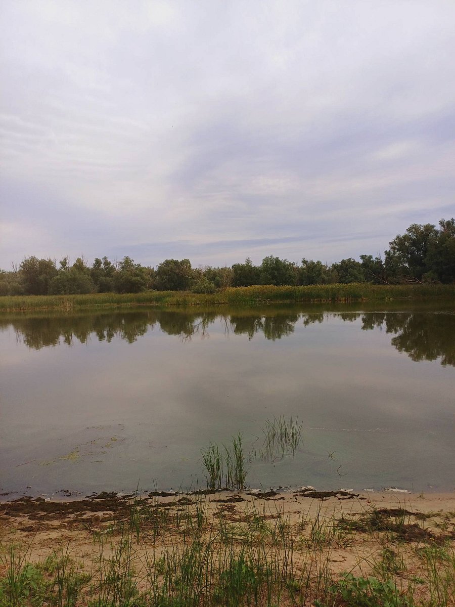 Фото 59 из отзыва о базе отдыха Донская Миля