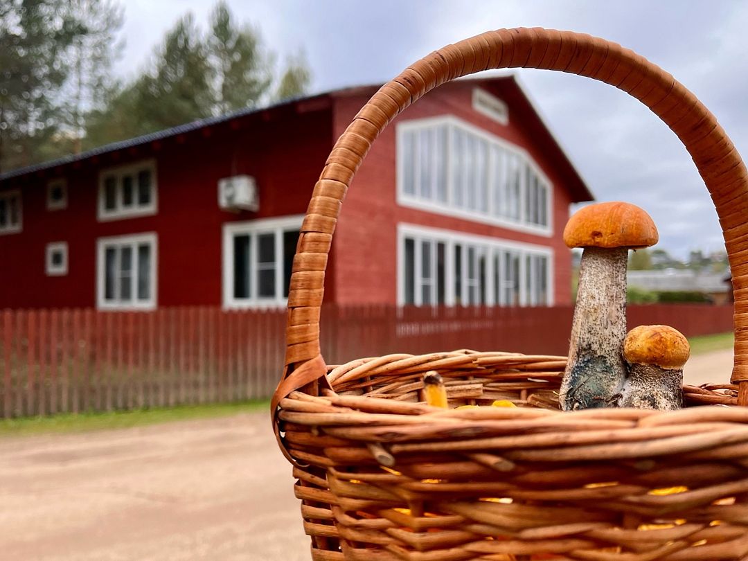 Малиновка, Архангельская область: фото 3