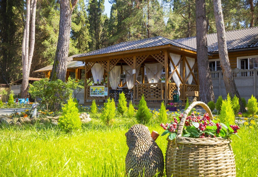 Duglas , Гагрский район: фото 4