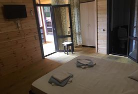 1-мест. (разм. в 2-мест.) станд.-плюс, Гостевой дом Duglas , Пицунда