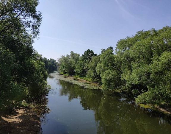 Река Стрелка