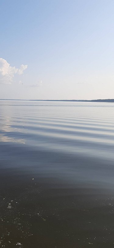 Фото 7 из отзыва о базе отдыха Бриз