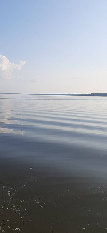 Фото 7 из отзыва о базе отдыха Бриз