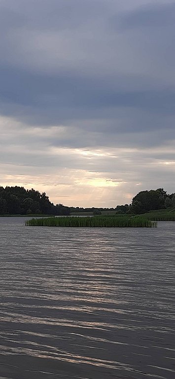 Фото из отзыва от 27.07.2025