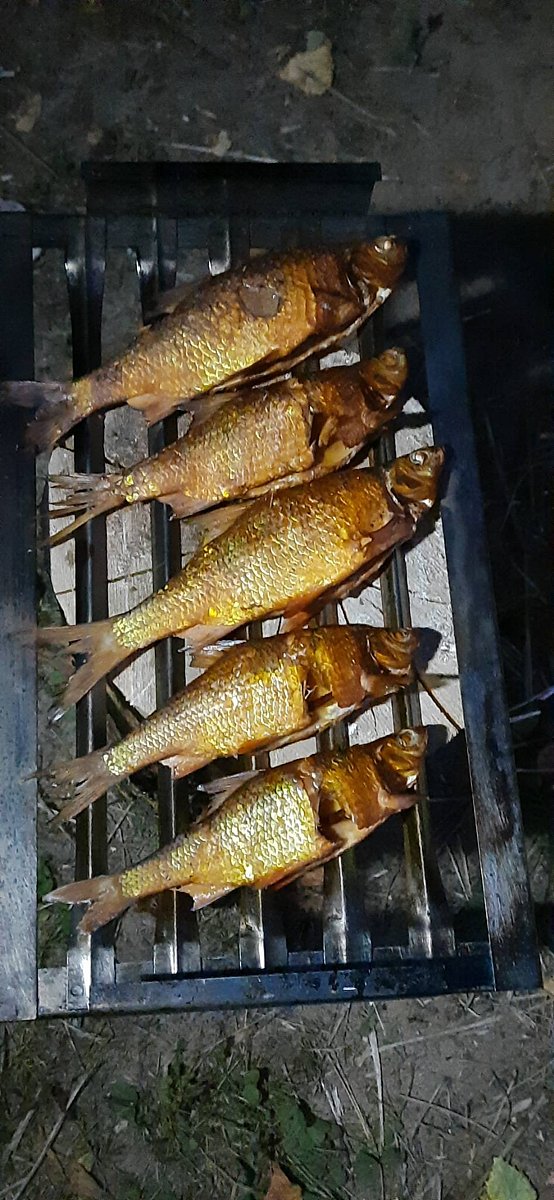 Фото 4 из отзыва о базе отдыха Бриз