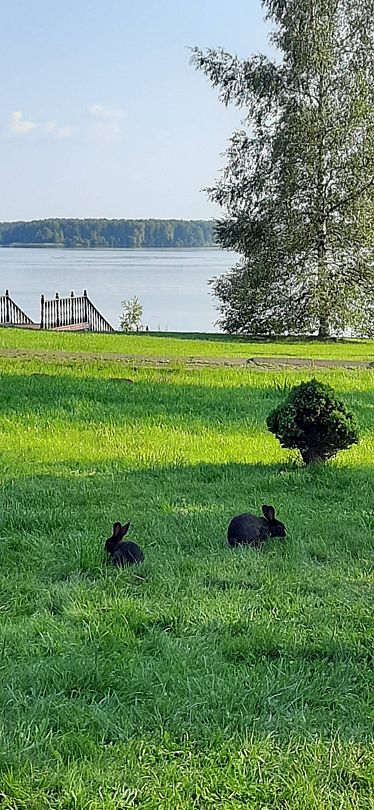 Фото 9 из отзыва о базе отдыха Бриз