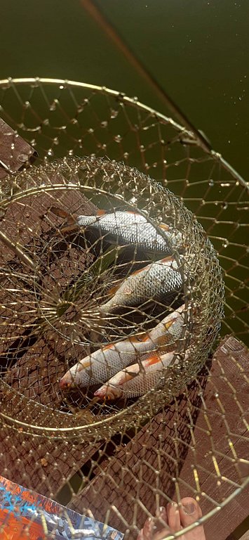 Фото из отзыва от 27.07.2025