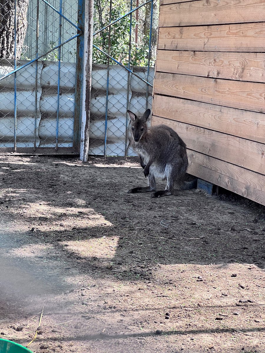 Фото 74 из отзыва о базе отдыха Донская Миля