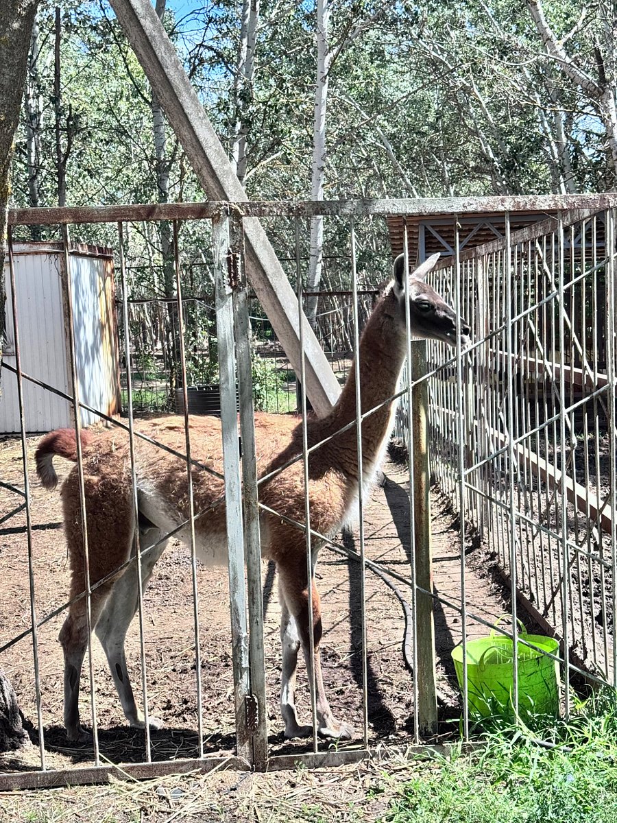 Фото 69 из отзыва о базе отдыха Донская Миля