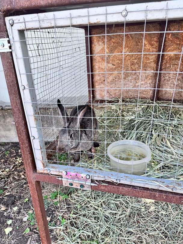 Фото 8 из отзыва о базе отдыха Донская Миля