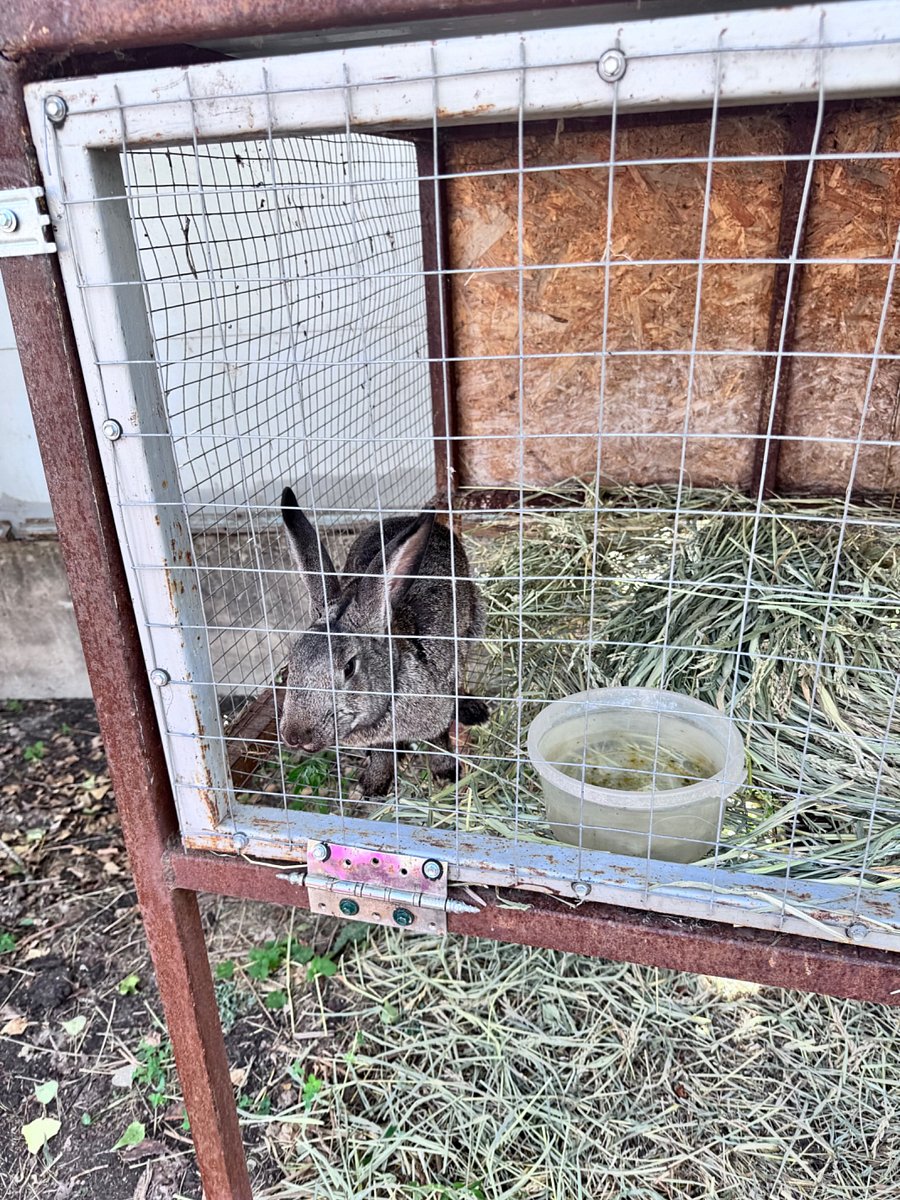 Фото 75 из отзыва о базе отдыха Донская Миля