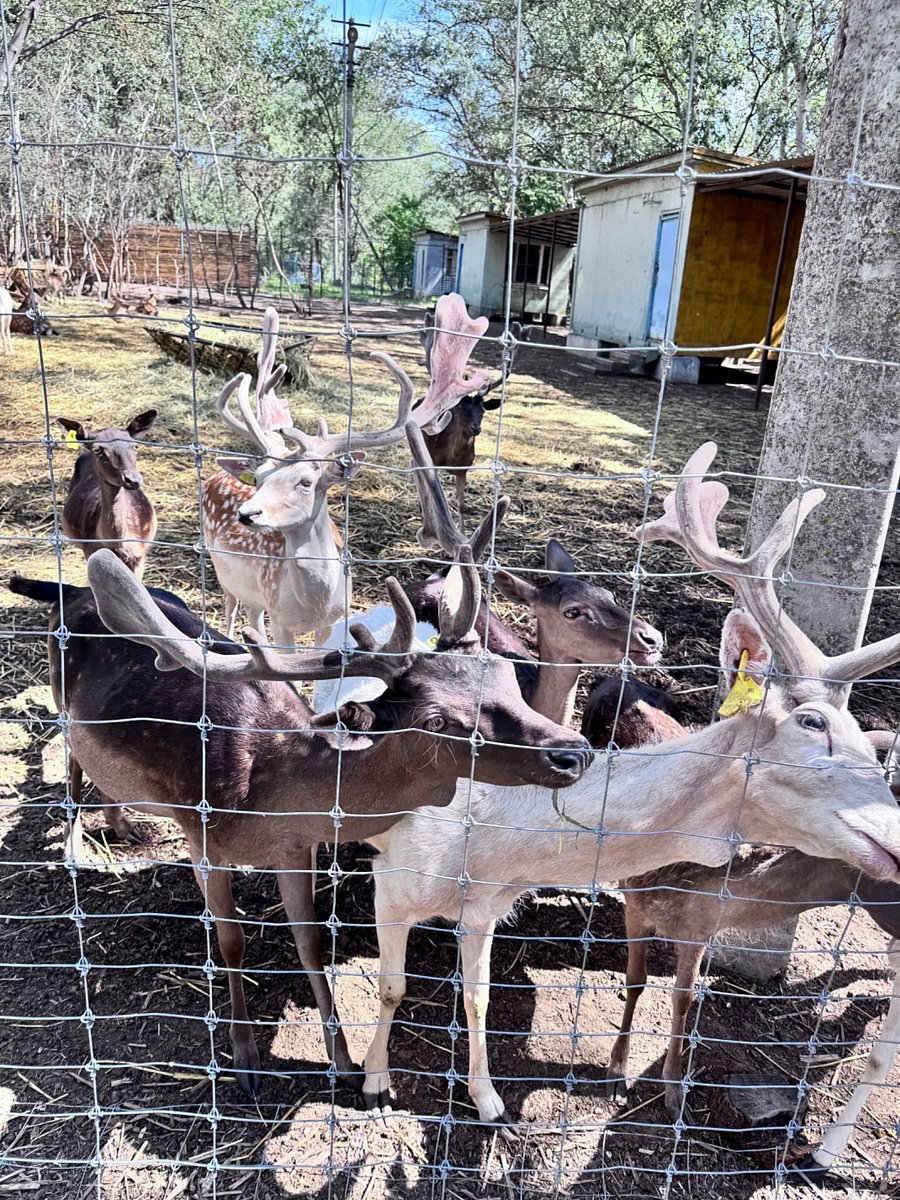 Фото 71 из отзыва о базе отдыха Донская Миля