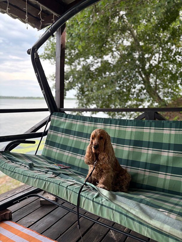 Фото 2 из отзыва о базе отдыха Порт