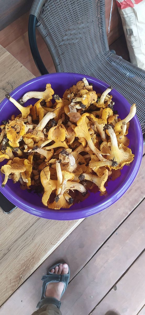 Фото 11 из отзыва о базе отдыха Коломно