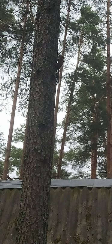 Фото 2 из отзыва о базе отдыха Коломно