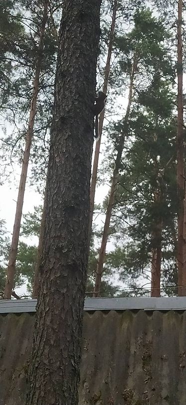 Фото 2 из отзыва о базе отдыха Коломно