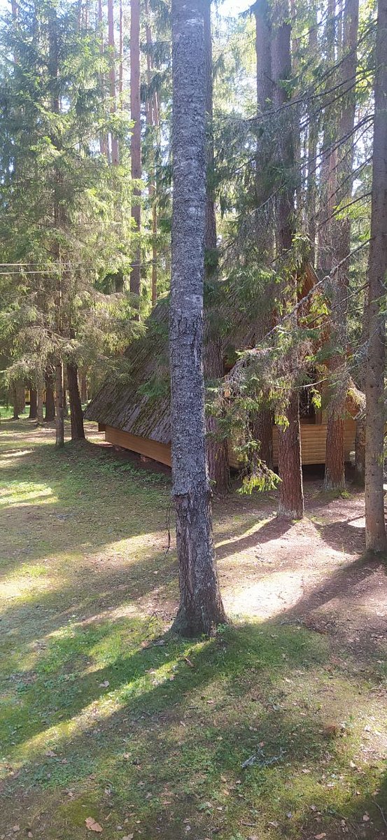 Фото 15 из отзыва о базе отдыха Коломно