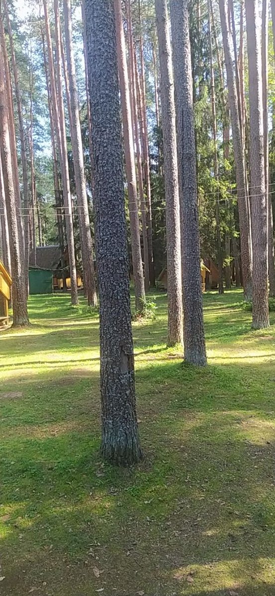 Фото 16 из отзыва о базе отдыха Коломно