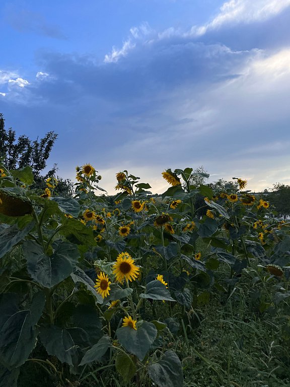 Фото из отзыва от 03.08.2025