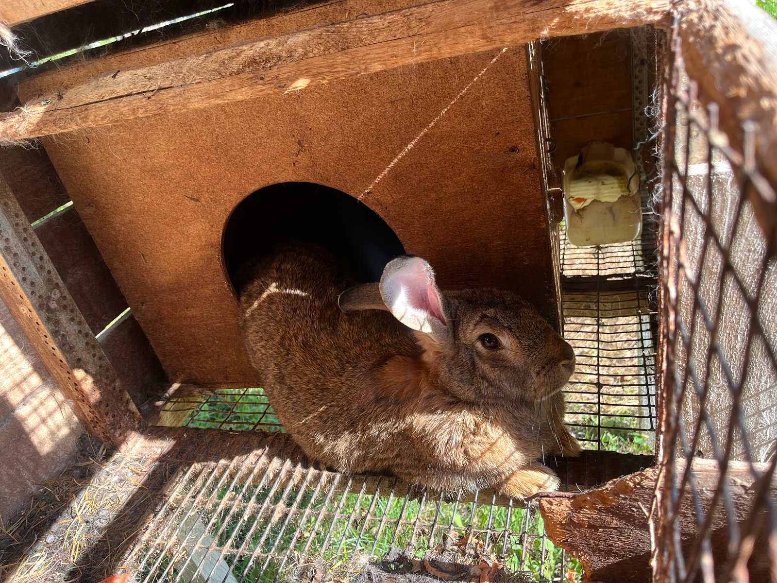 Фото 5 из отзыва об отельном комплексе Лесное