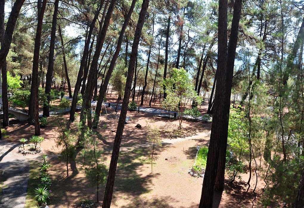 Лдзаа Госдача, Гагрский район: фото 2