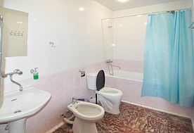 1-мест. (разм. в 2-мест.) станд. без балк., Пансионат Лдзаа Госдача, Пицунда