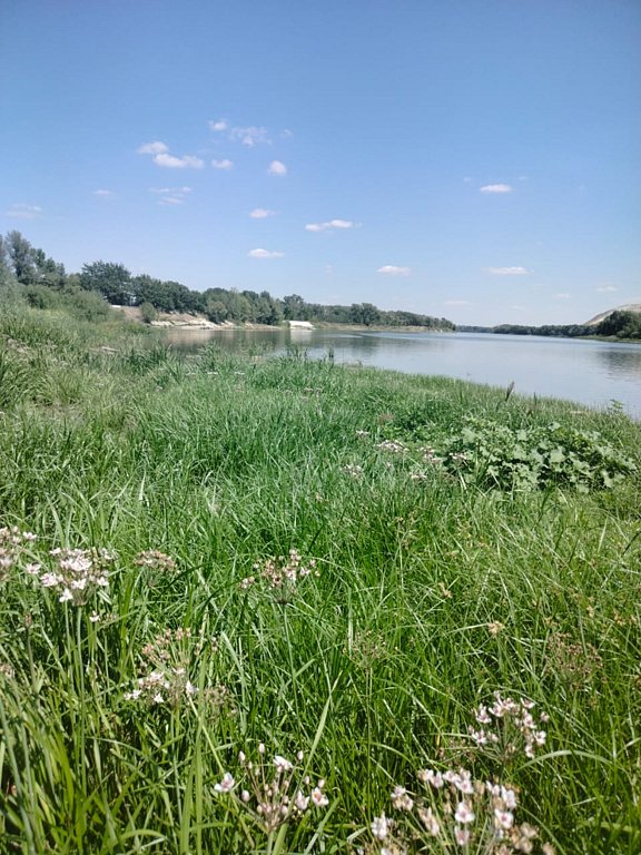 Фото из отзыва от 06.08.2025