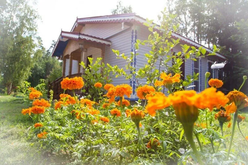 База отдыха Поместье озера Сиркоярви, Всеволожский район, Ленинградская область