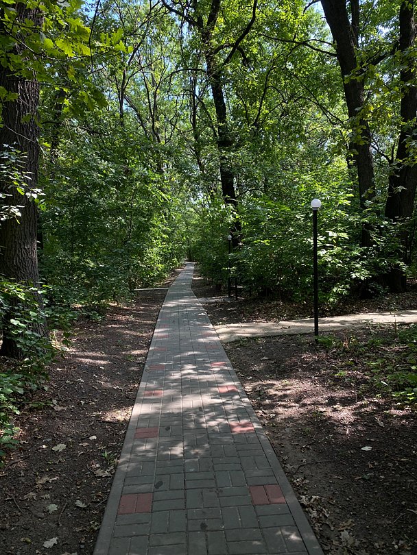 Фото 2 из отзыва о базе отдыха Дружба