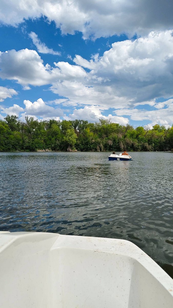 Фото 6 из отзыва о базе отдыха Дружба