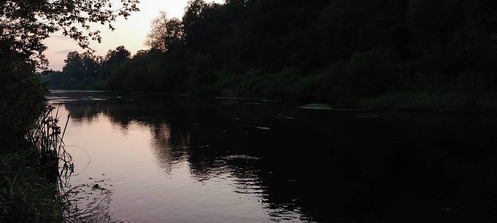 Фото из отзыва от 08.08.2025