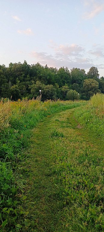 Фото из отзыва от 08.08.2025