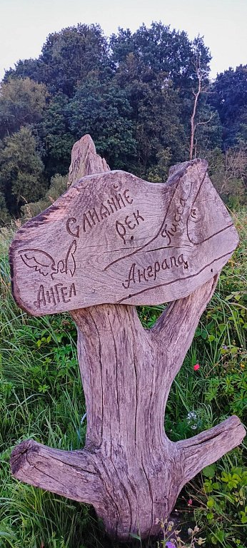 Фото из отзыва от 08.08.2025