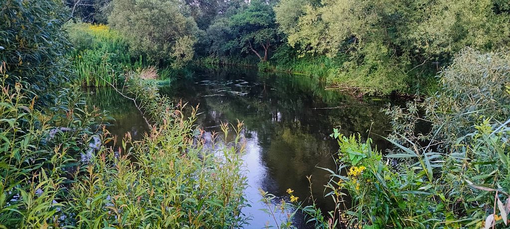 Фото из отзыва от 08.08.2025