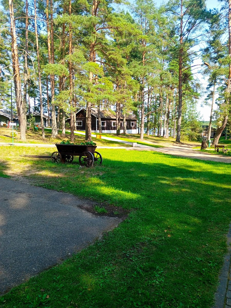 Фото 5 из отзыва о центре активного отдыха Лукоморье