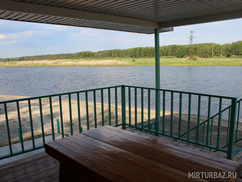 Сосновый бор, Воронежская область: фото 2