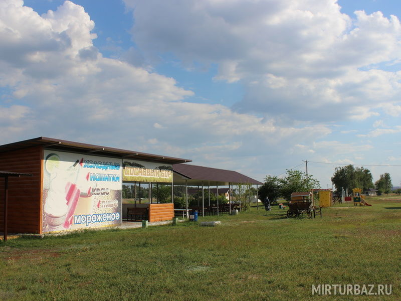 Сосновый бор, Воронежская область: фото 3