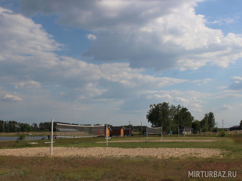 Сосновый бор, Воронежская область: фото 4