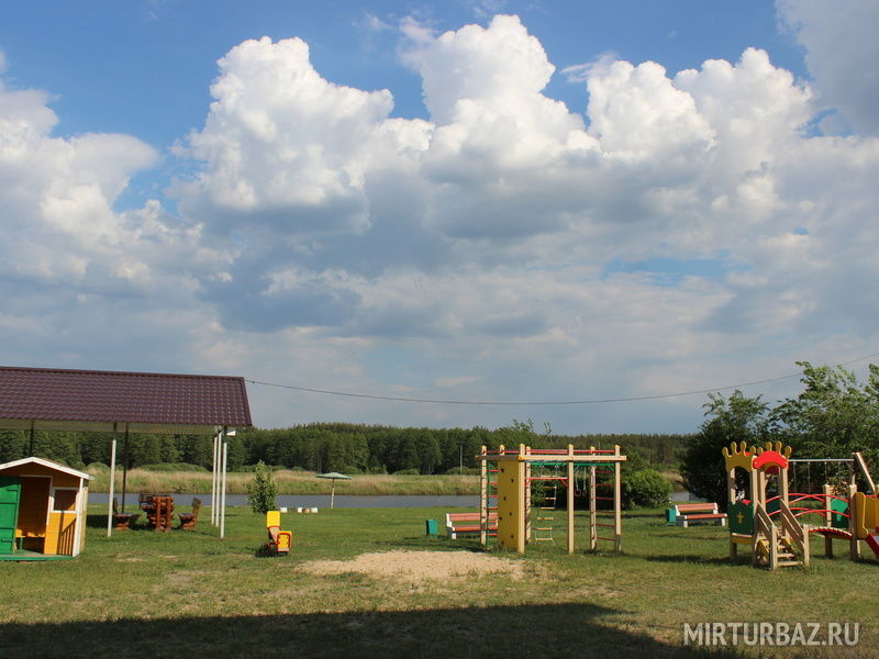 Сосновый бор, Воронежская область: фото 5