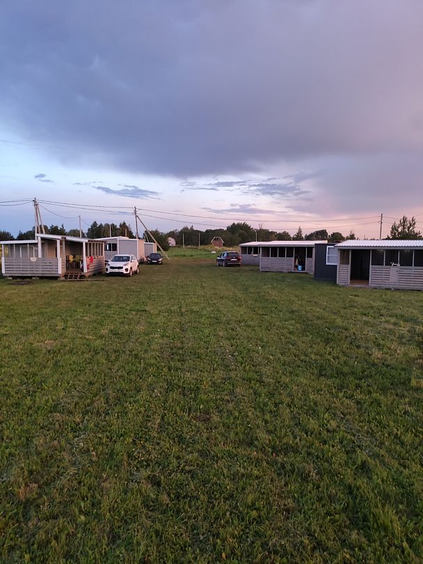 Ильменский глинт, Новгородская область: фото 3