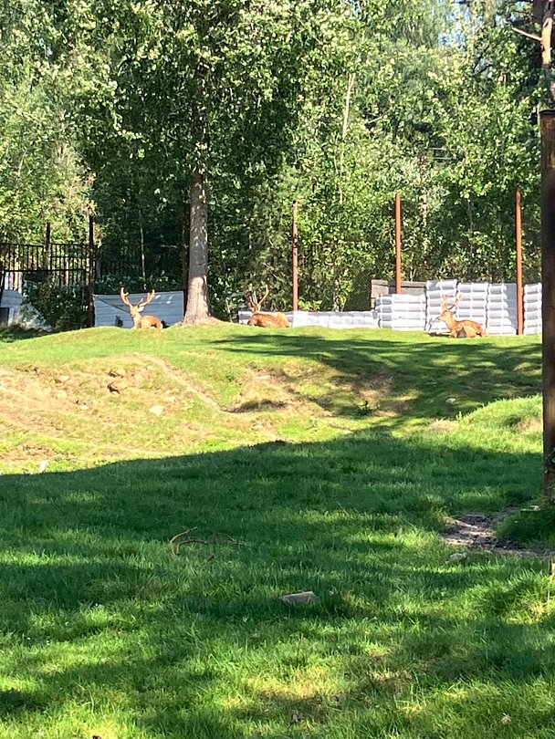 Фото 1 из отзыва о рыболовно-охотничьей базе Ухра