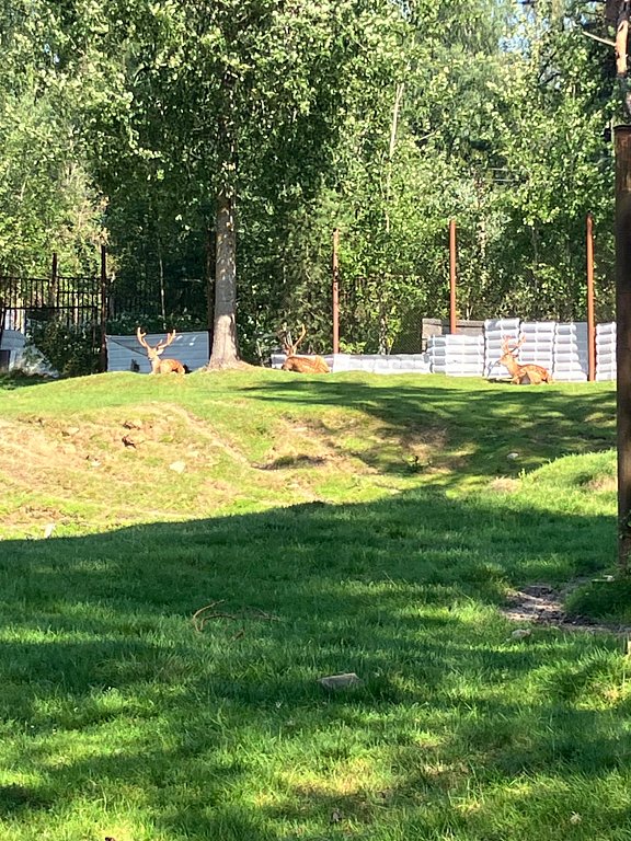 Фото из отзыва от 04.08.2025