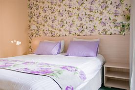 Двухкомнатный номер "Люкс", "Сиар" гостевой дом, Адлер