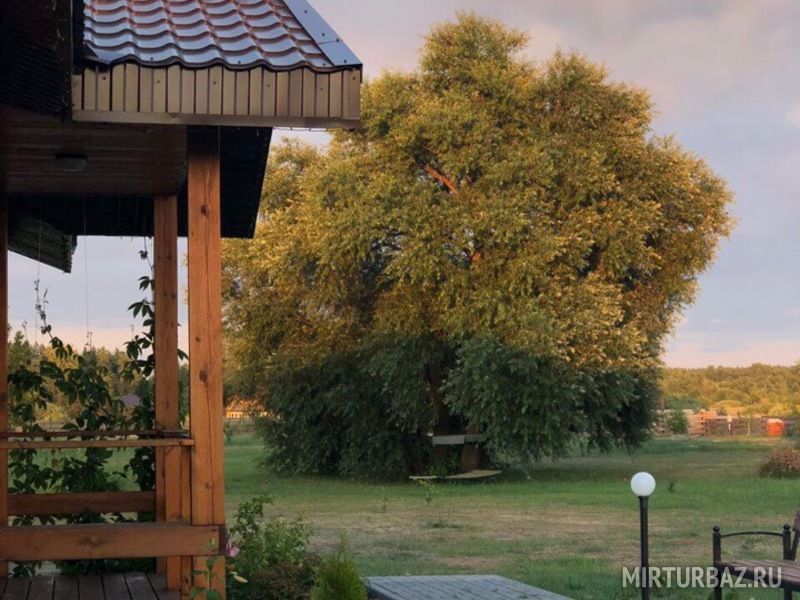 Солнечный, Воронежская область: фото 4