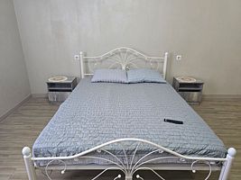 Двухместный номер с 1 кроватью Современный номер 28 м² с душем и мини-кухней — для отдыха и работы, Гостевой дом У арены, Самара