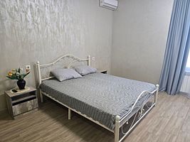 Двухместный номер с 1 кроватью тихий с кухонной зоной и душем, Гостевой дом У арены, Самара