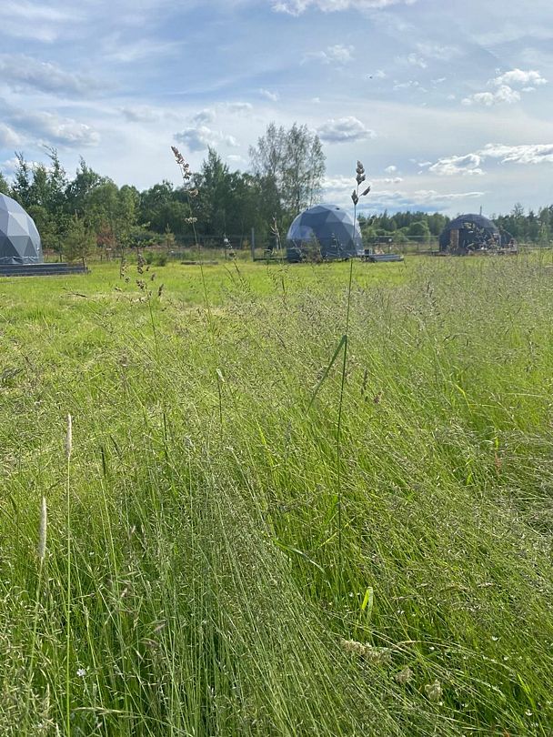 Family Sup & Glamping, Ленинградская область: фото 3