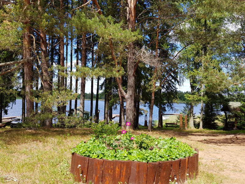 Яр, Тверская область: фото 4